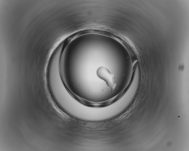 X0000097611128200803071444