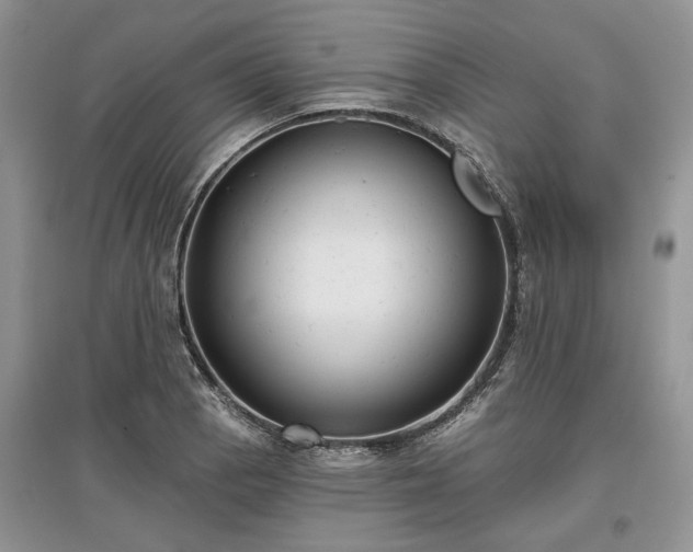 X0000097611129200803071444