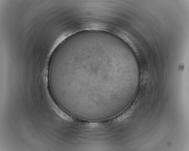 X0000097611130200803071444