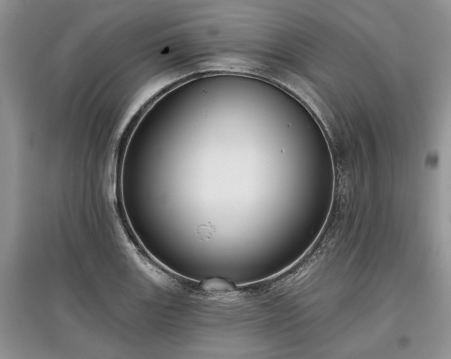 X0000097611131200803071444