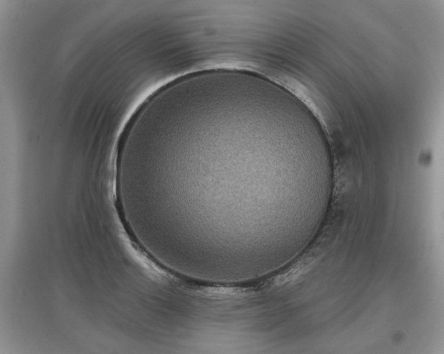 X0000097611132200803071444