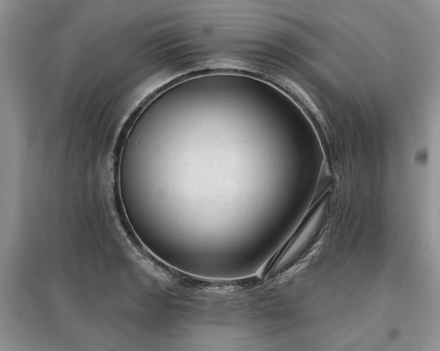 X0000097611133200803071444
