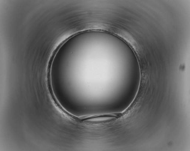 X0000097611135200803071444