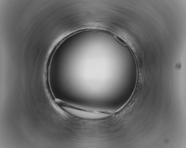 X0000097611136200803071444