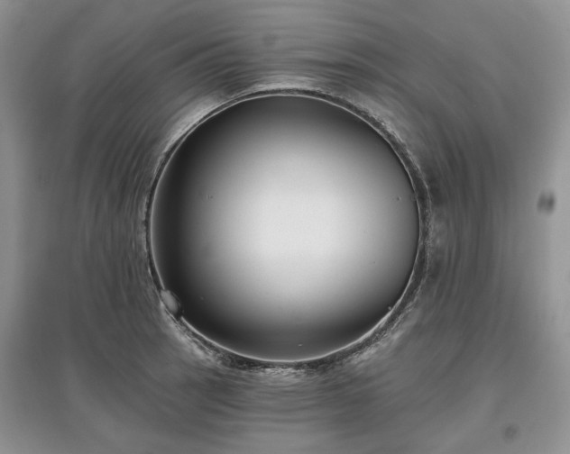 X0000097611137200803071444