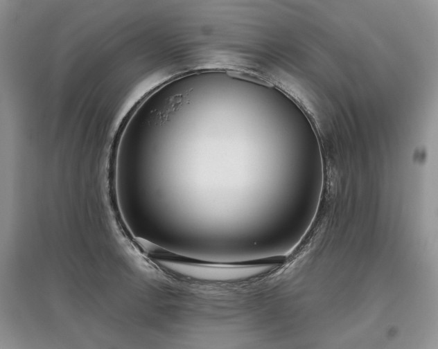 X0000097611138200803071444