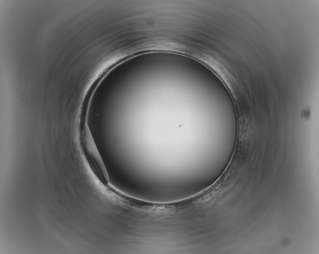 X0000097611139200803071444