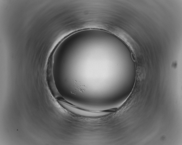 X0000097611140200803071444