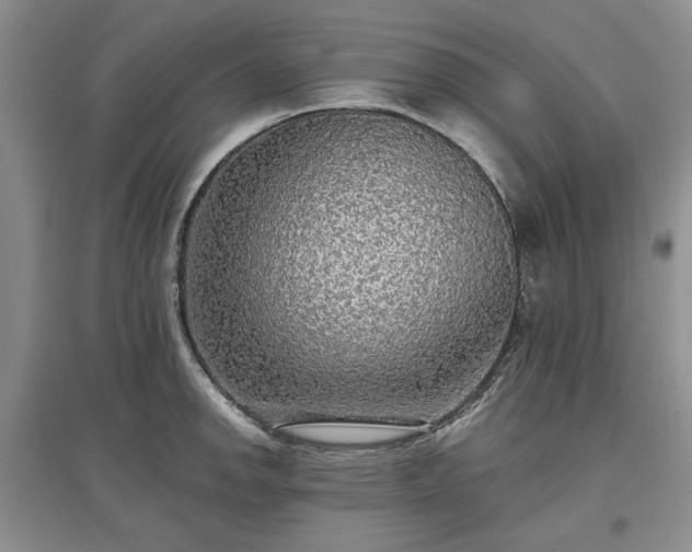 X0000097611142200803071444