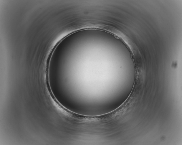 X0000097611143200803071444