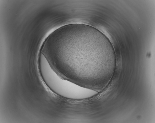 X0000097611144200803071444