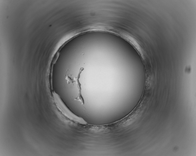 X0000097611146200803071444