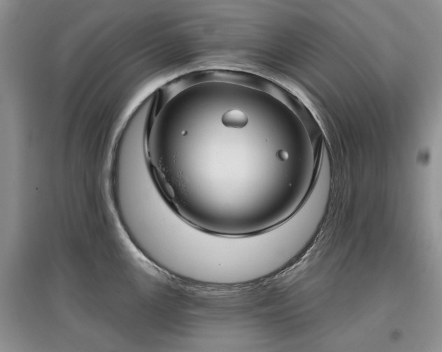 X0000097611147200803071444