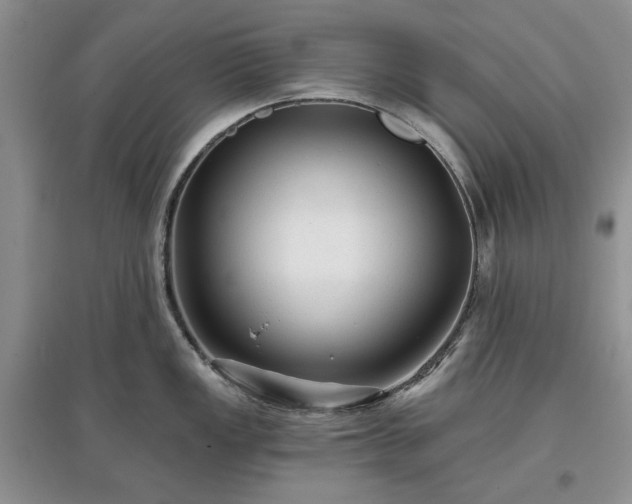 X0000097611149200803071444
