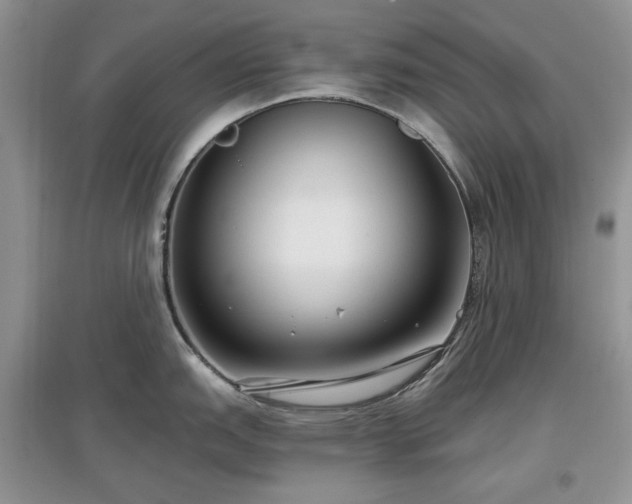 X0000097611151200803071444