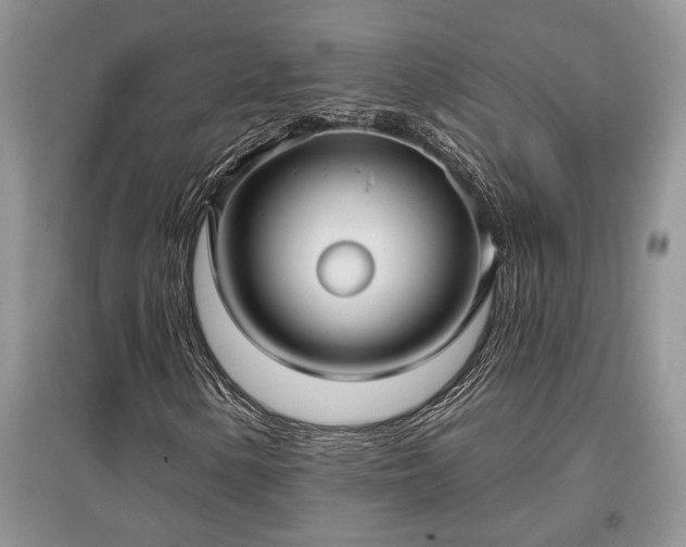 X0000097611154200803071444