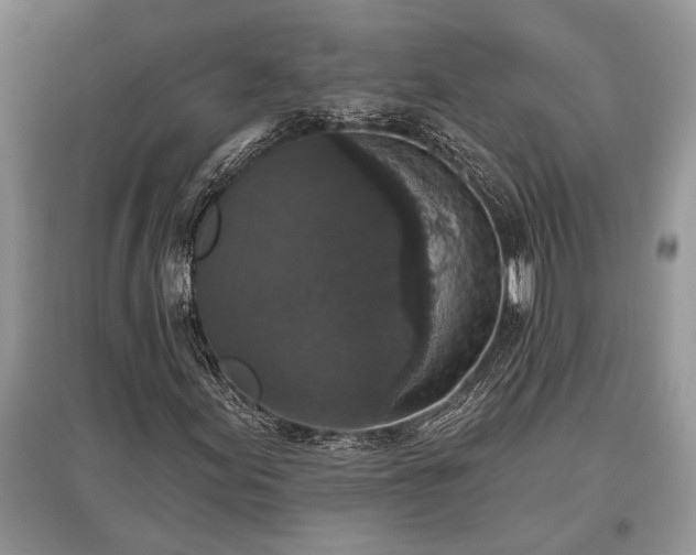 X0000097611155200803071444