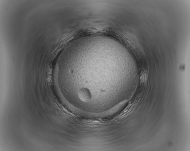 X0000097611156200803071444