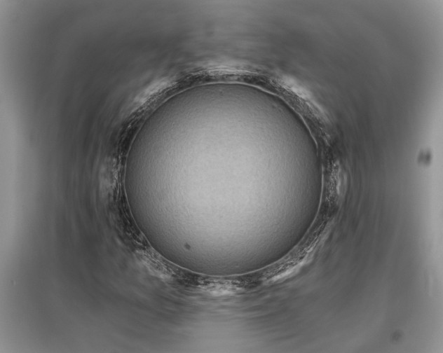 X0000097611157200803071444