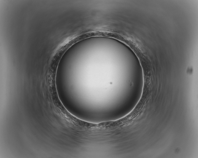 X0000097611159200803071444
