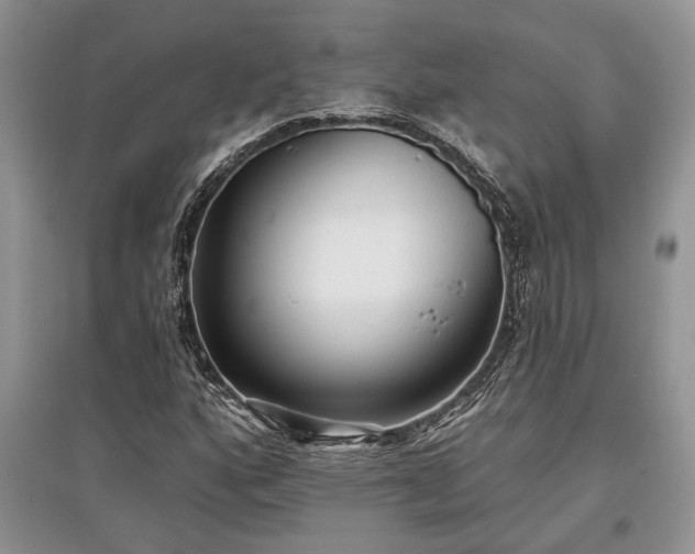 X0000097611160200803071444