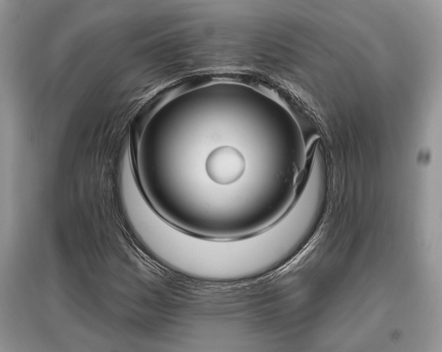 X0000097611161200803071444