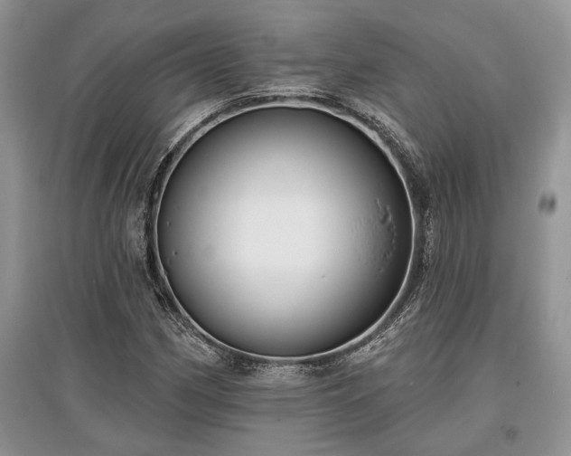 X0000097611162200803071444