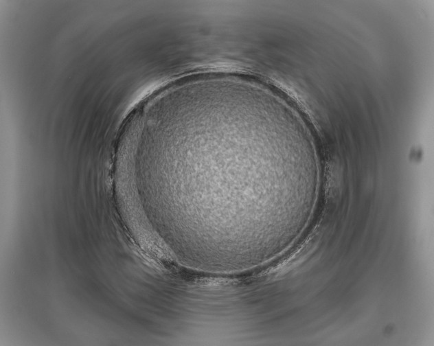X0000097611163200803071444