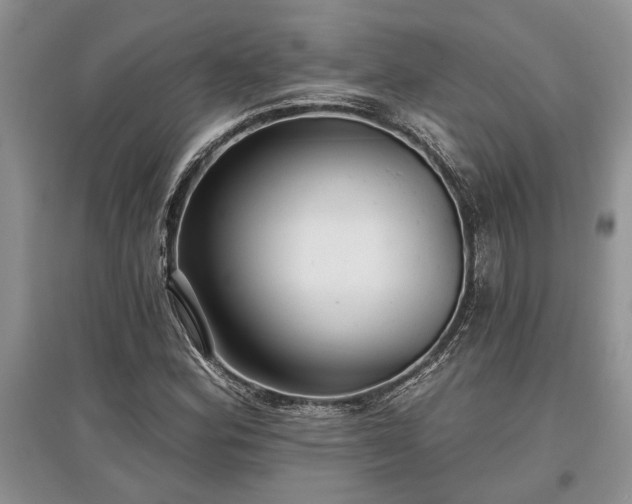 X0000097611164200803071444