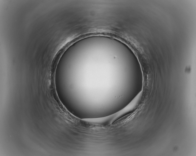 X0000097611165200803071444