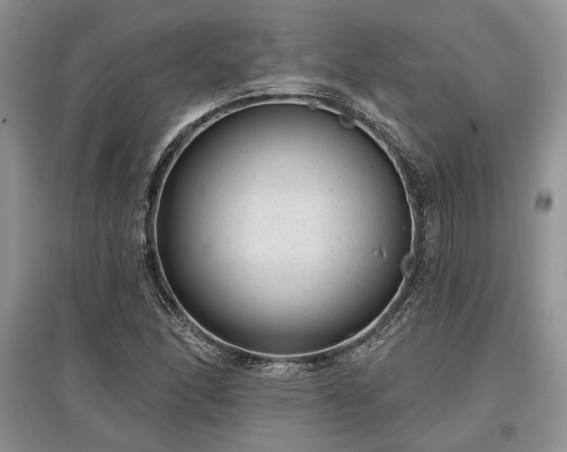 X0000097611166200803071444