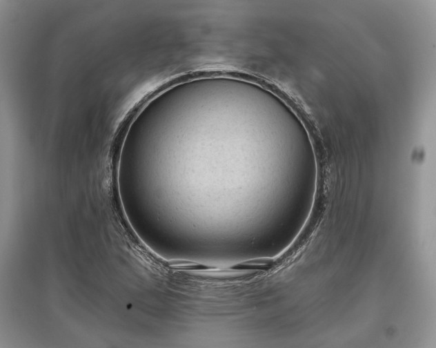 X0000097611167200803071444