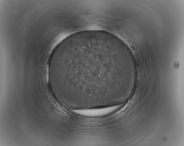 X0000097611171200803071444