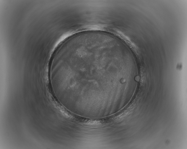 X0000097611174200803071444