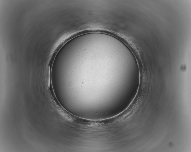 X0000097611175200803071444