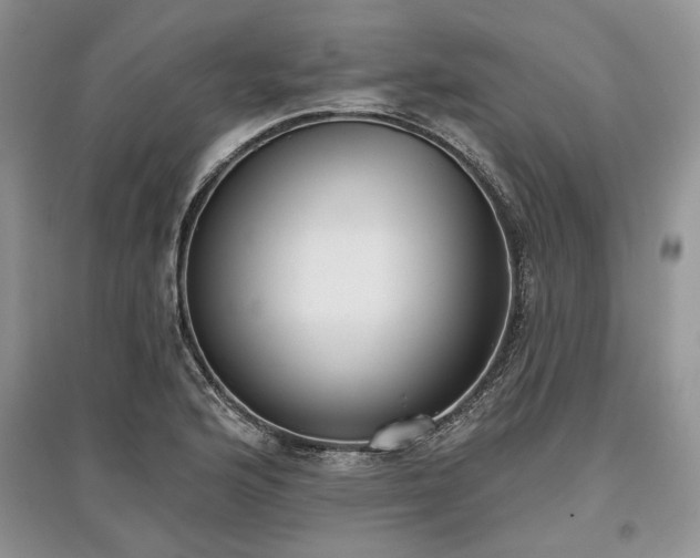 X0000097611176200803071444
