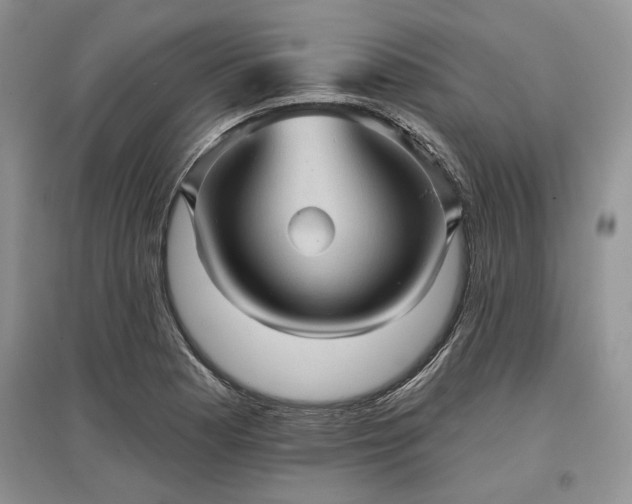 X0000097611177200803071444
