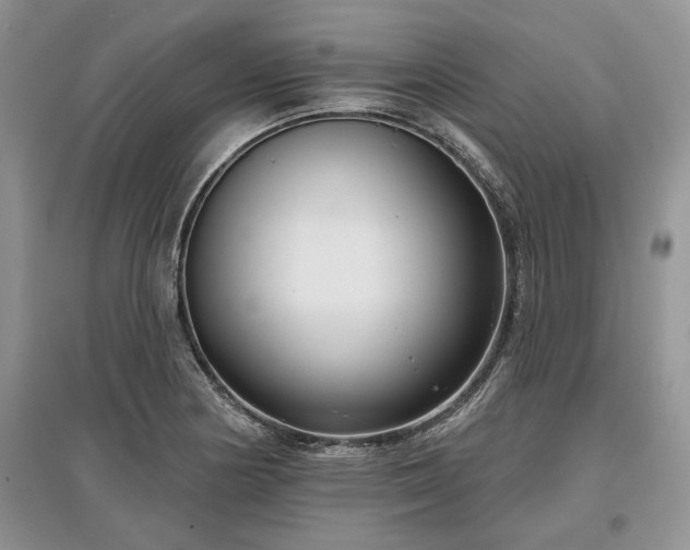 X0000097611178200803071444