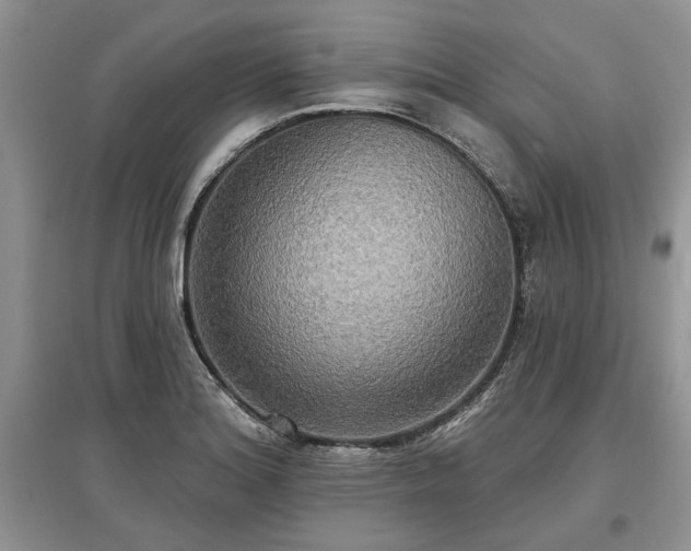 X0000097611180200803071443