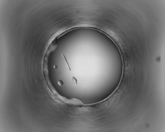 X0000097611181200803071443