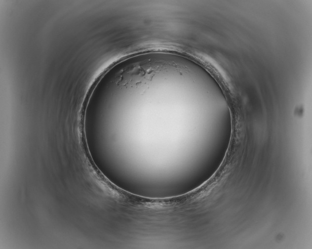 X0000097611182200803071443