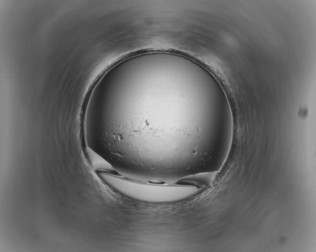 X0000097611183200803071443