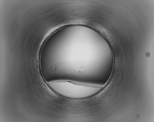 X0000097611184200803071443