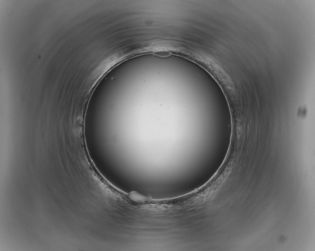X0000097611185200803071443
