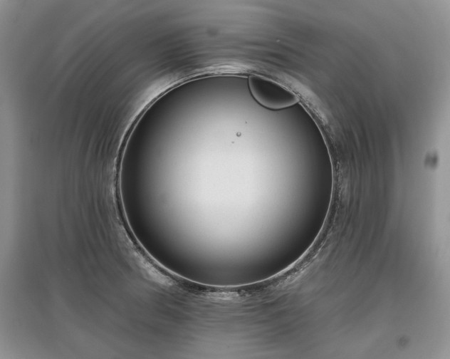 X0000097611186200803071443