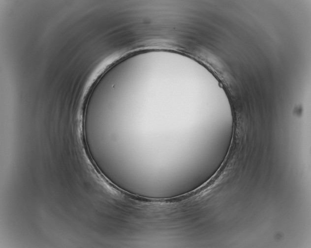 X0000097611188200803071443