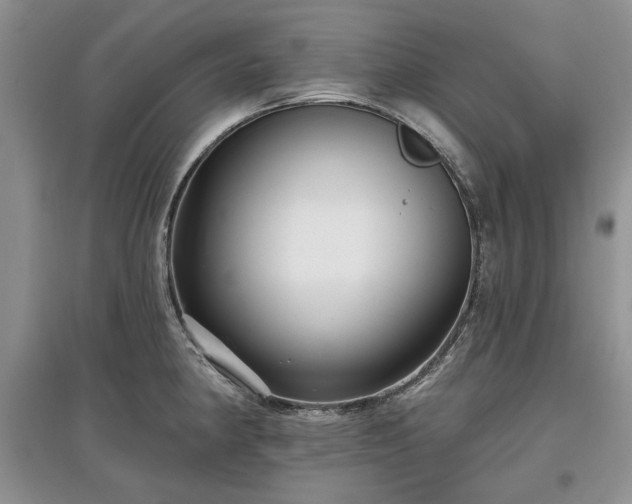 X0000097611190200803071443
