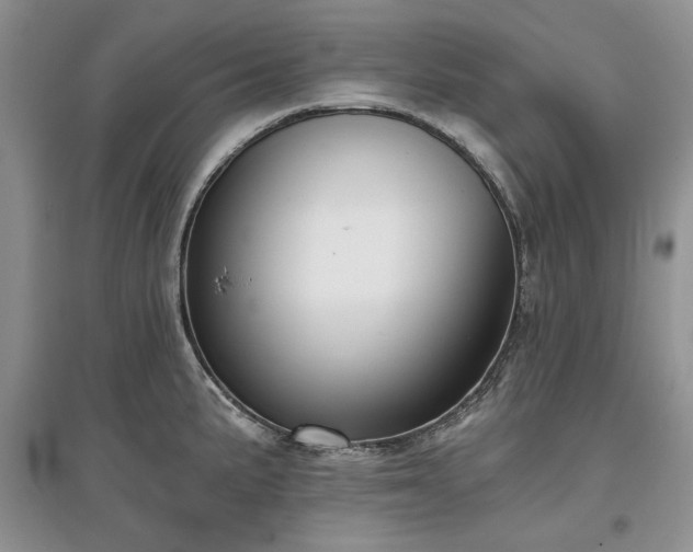 X0000097611191200803071443