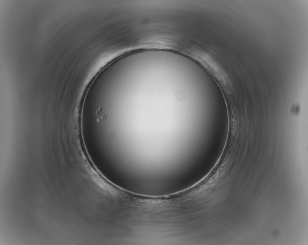 X0000097611192200803071443