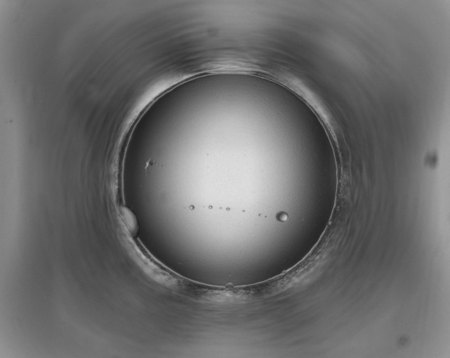 X0000097611195200803071443